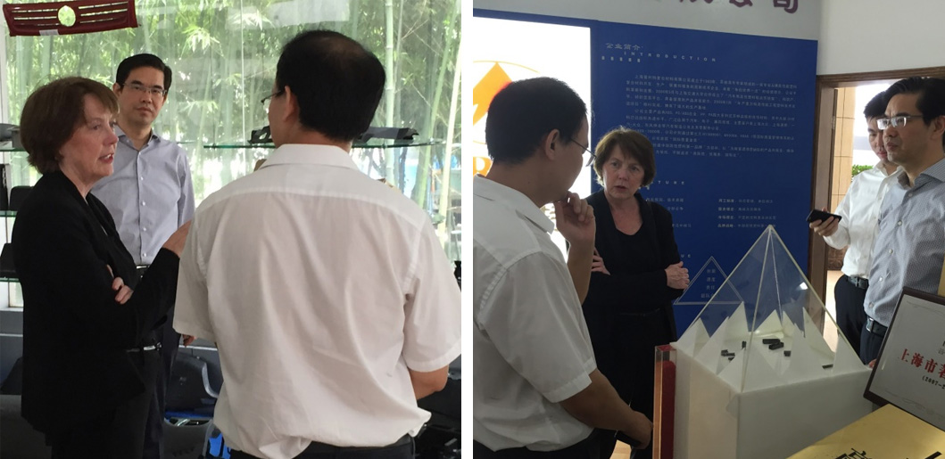 ױǴѧMary Cunningham Boyce һ˾н